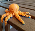 Octopus